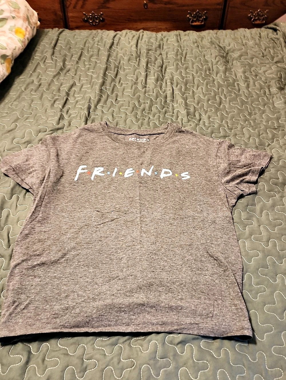 Friends TV Series Graphic T-Shirt Gray